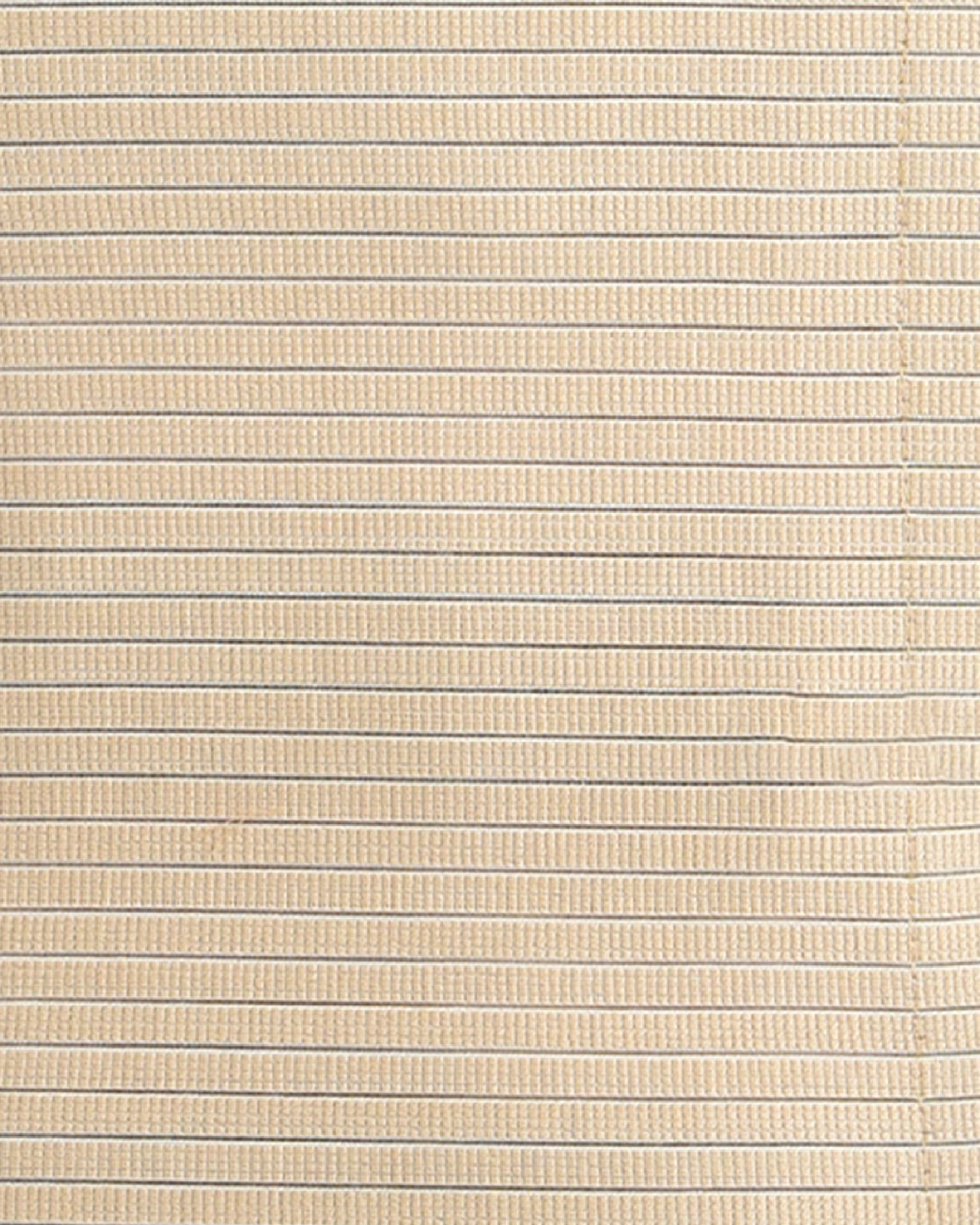 Plus Size Multi-Band Ab Binder