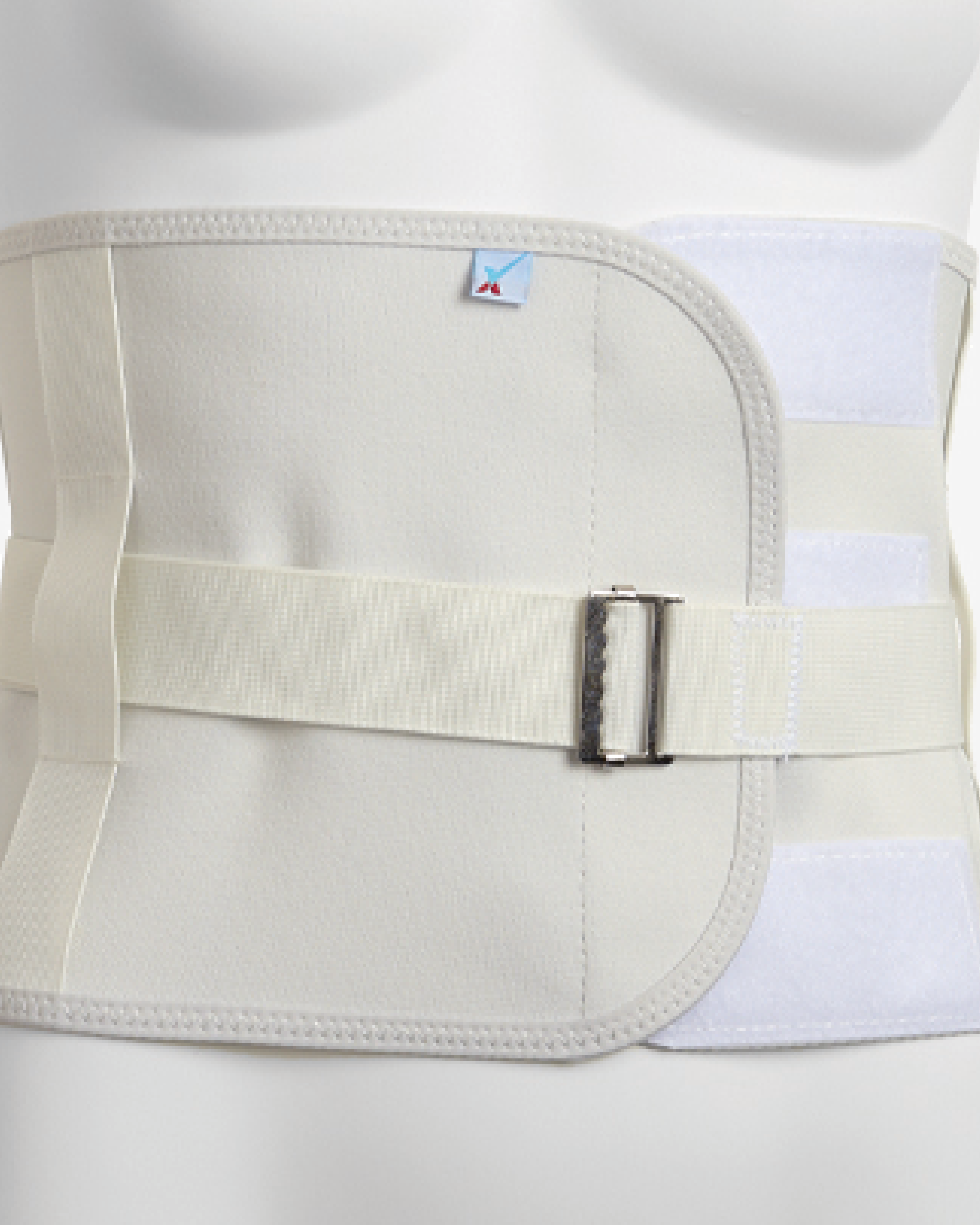 Plus Size Lumbosacral Support