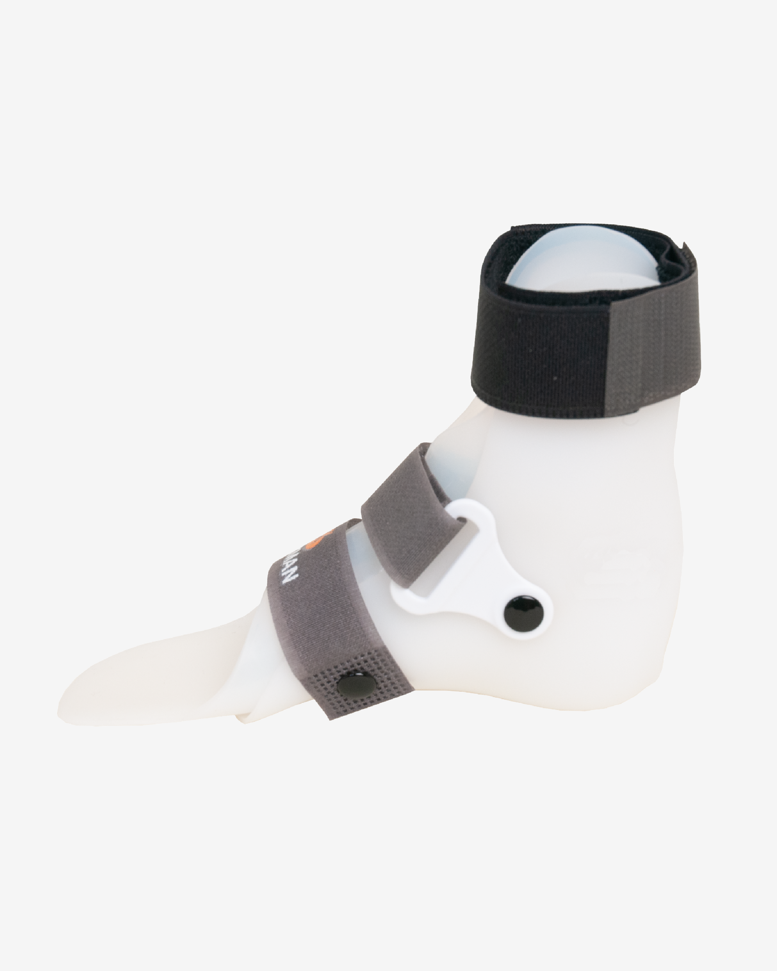 Parrot Open-Back AFO